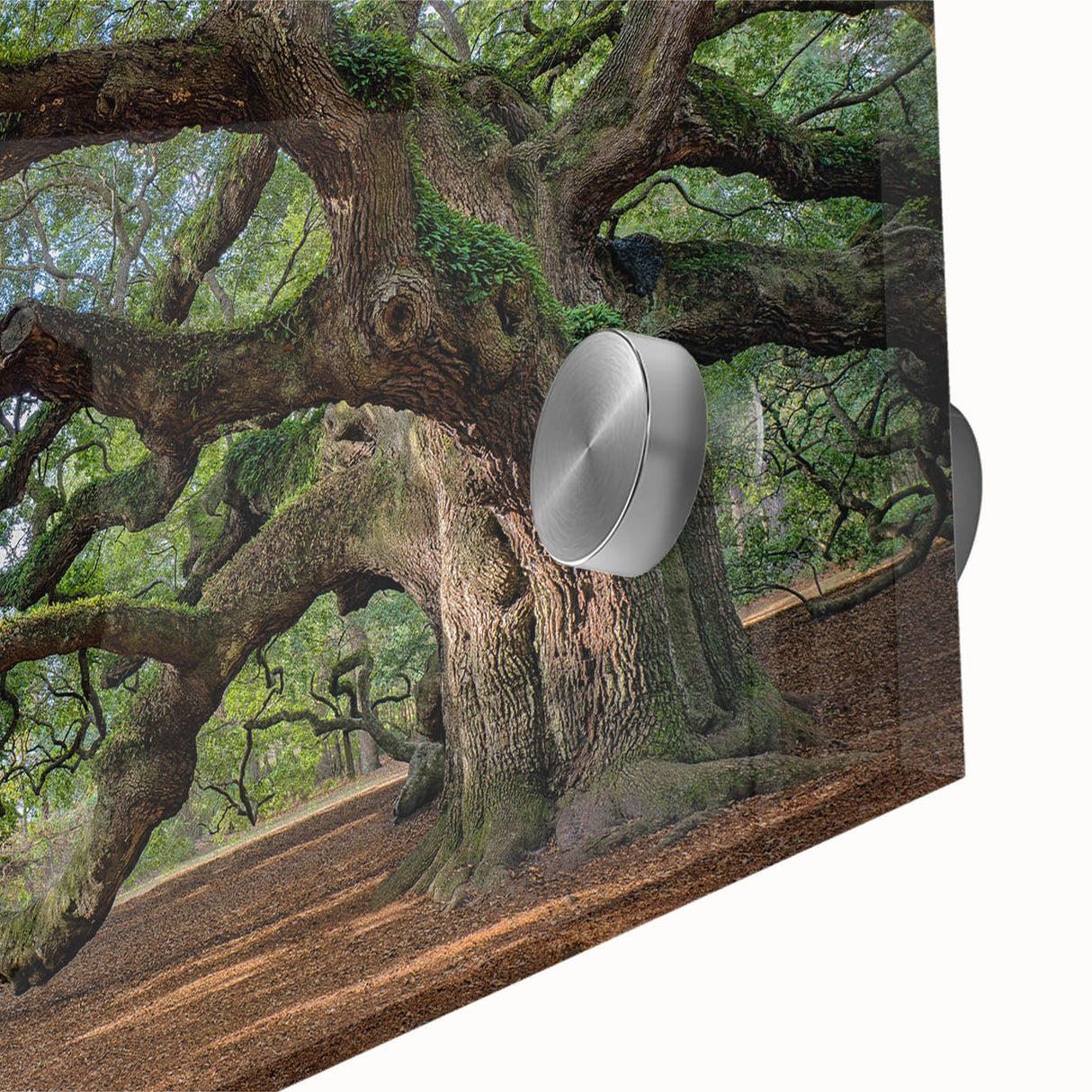 Large abstract wall art depicting Charleston landscape in muted earth tones on acrylic glass.