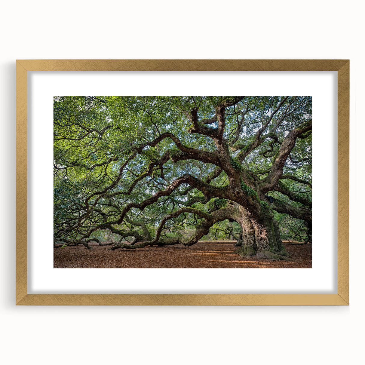Extra large abstract art print of Charleston, South Carolina, with textured details in muted earth tones, framed in gold.