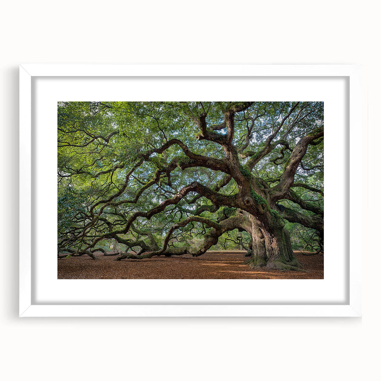 Abstract art print of Charleston landscape in muted earth tones on a framed white mat, suitable for dining room decor.