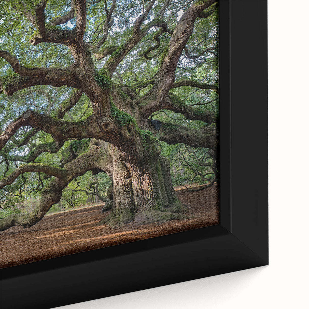 Textured black wall art depicting Charleston, South Carolina scenery in colorful hues on an extra large framed canvas.