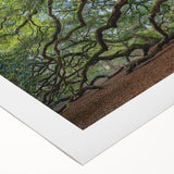 Art deco poster of Charleston landscape in muted green and beige tones on rolled canvas, suitable for dining room wall art.