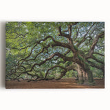 Black and white photo of Charleston, South Carolina on a large stretched canvas, ideal for kitchen wall art.