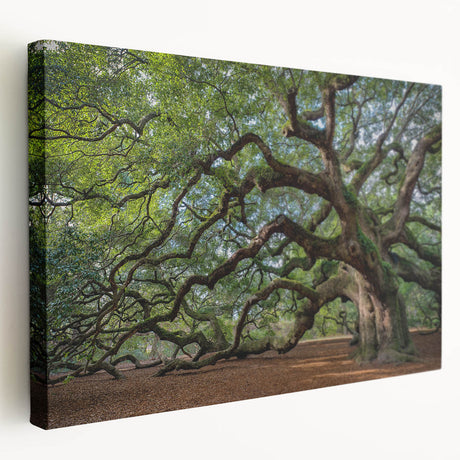 Side view of a stretched canvas featuring a Charleston, South Carolina scenery in muted earth tones.