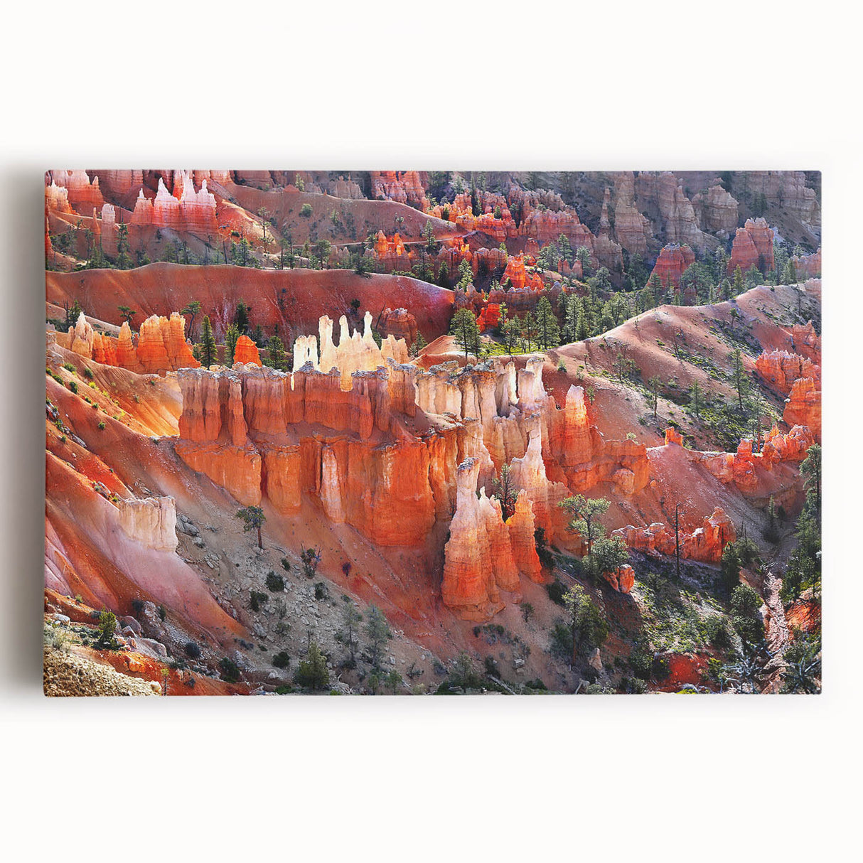 Black and white large art print of Bryce Canyon on stretched canvas, ideal for kitchen wall art.