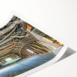 Extra large wall art featuring line art flowers in muted earth tones on rolled print, ideal for large living room decor.