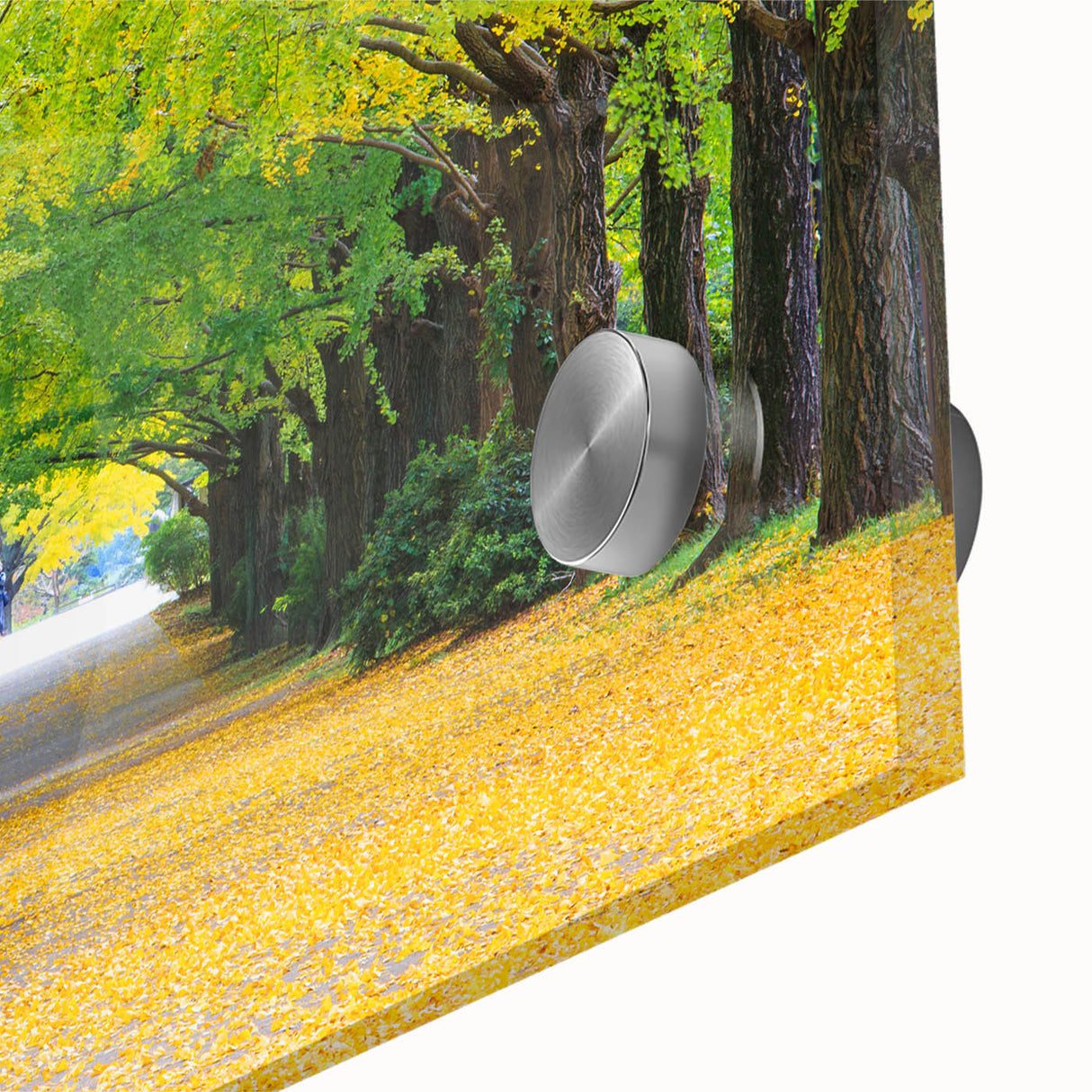 Large abstract wall art featuring the Virginia scenery in mid-century modernist style on acrylic glass.
