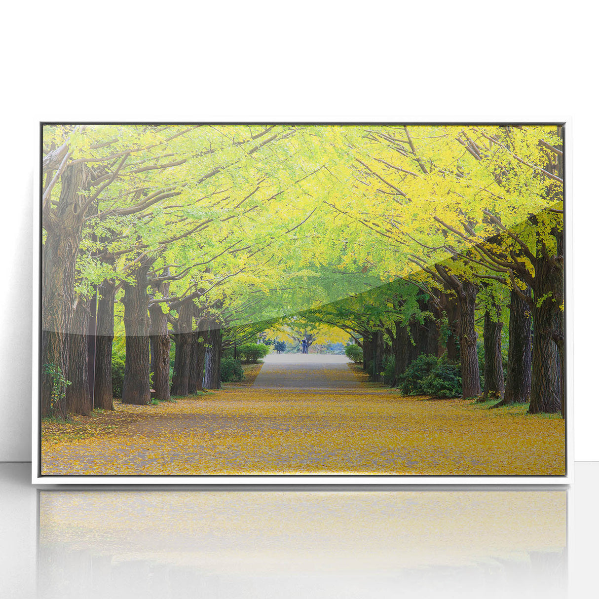 Art deco poster of Virginia scenery in muted gray and blue tones on framed acrylic, suitable for modern nursery wall art.