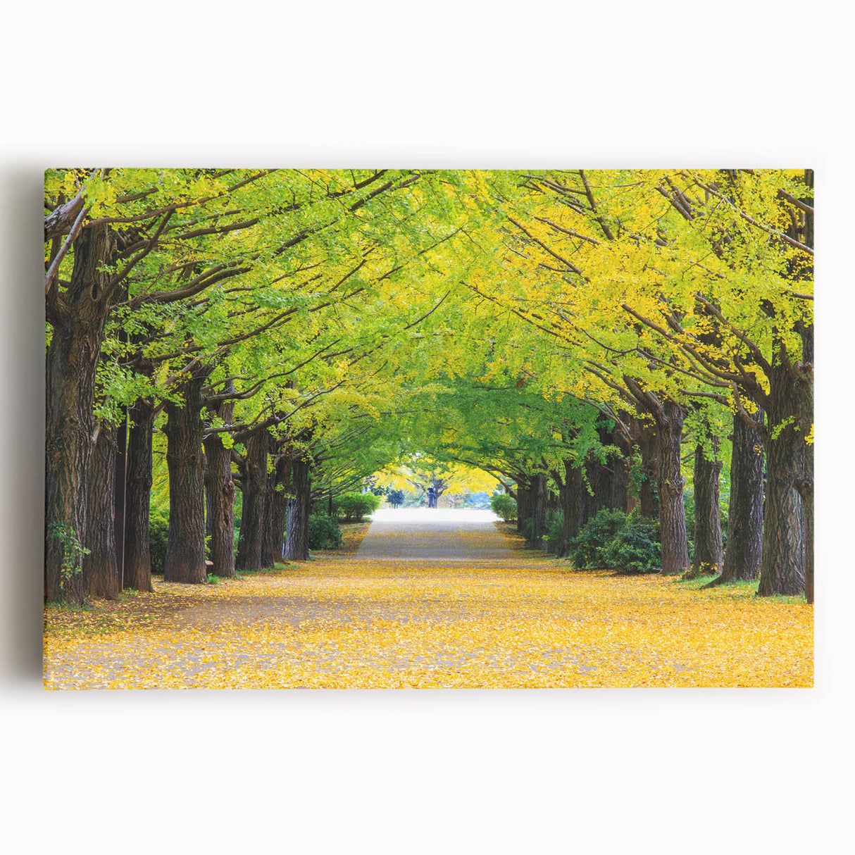 Black and white large art print of Virginia scenery on stretched canvas, ideal for kitchen wall art.