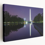Washington DC monument depicted in muted gray tones on a large stretched canvas, suitable for kitchen wall art.