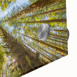 Large abstract depiction of Olympic scenery in mid-century modernist style on acrylic glass, ideal for dining room art.