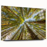 Acrylic print of Olympic National Park with lush greenery and mountain backdrop, in subtle earth tones.