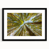 Extra large abstract art print of colorful, textured scenery of Olympic, Washington in a black frame.