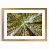 Extra large abstract art print of Olympic scenery in textured shades of blue and green, framed in gold.