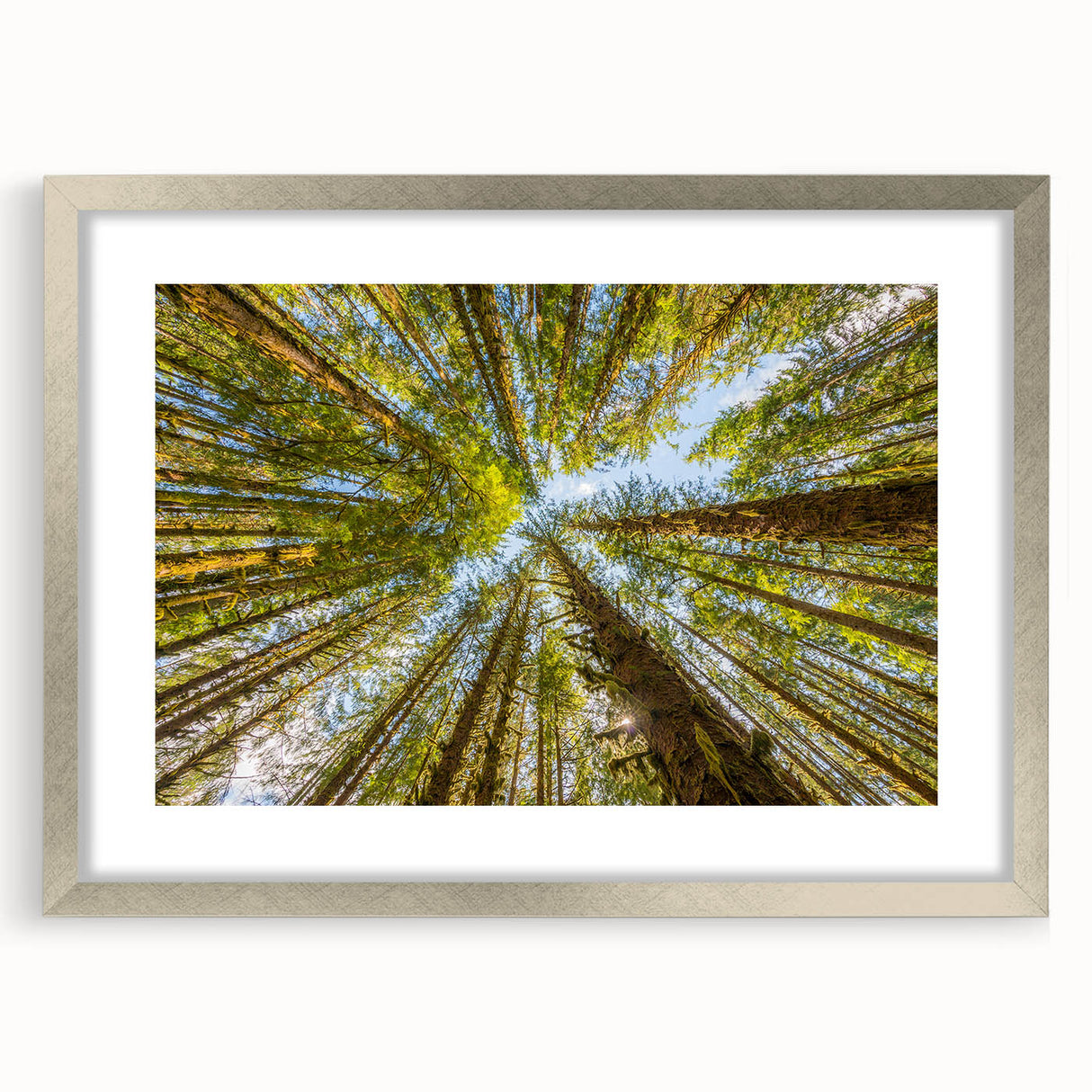 Textured abstract art print of the Olympic scenery in Washington, featuring muted earth tones on a framed silver mat.