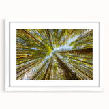Abstract art print of Olympic National Park in muted green and blue tones on a white framed canvas.