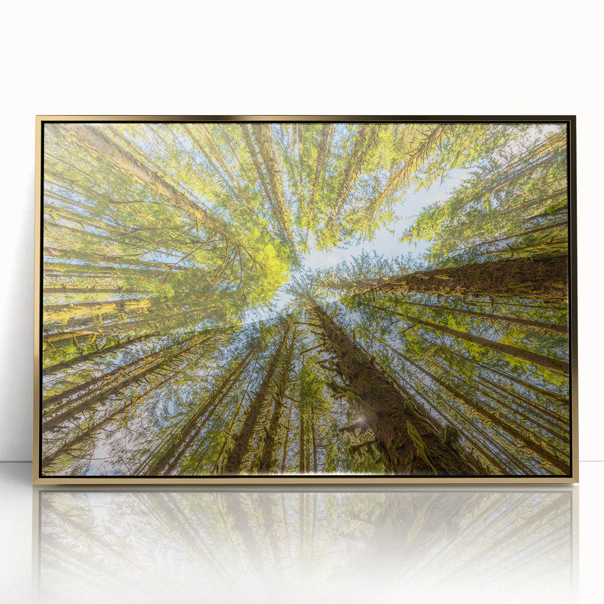 Mid-century modernist style large art print of Olympic National Park with muted earth tones, framed in acrylic gold.
