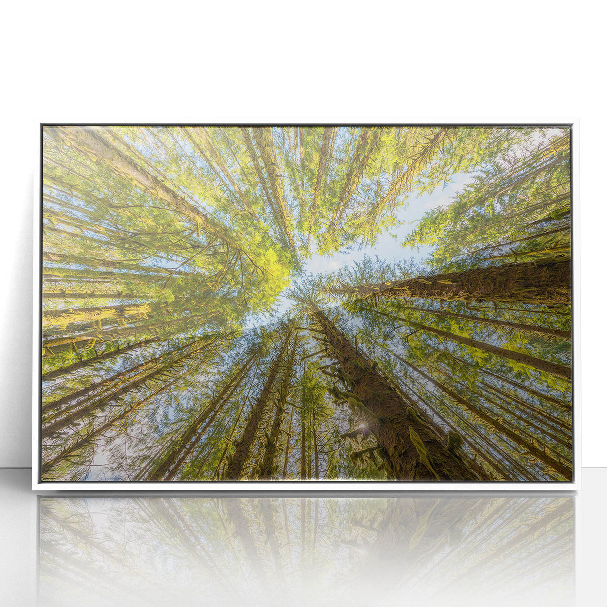 Acrylic print of Olympic National Park in art deco style with muted green and blue tones, ideal for modern nursery wall art.