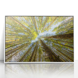 Acrylic print of Olympic National Park in art deco style with muted green and blue tones, ideal for modern nursery wall art.