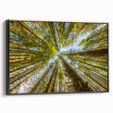 Black and white landscape art painting of Olympic National Park on framed canvas, suitable for bedroom decor.