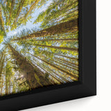 Close-up of a textured black wall art depicting Olympic scenery, accented with colorful art elements.