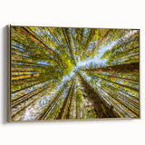 Framed canvas of Olympic National Park with muted green and blue tones, vintage poster style, ideal for bedroom wall art.