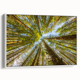 Vintage poster art of Olympic National Park on a framed canvas, featuring a colorful palette, ideal for living room decor.