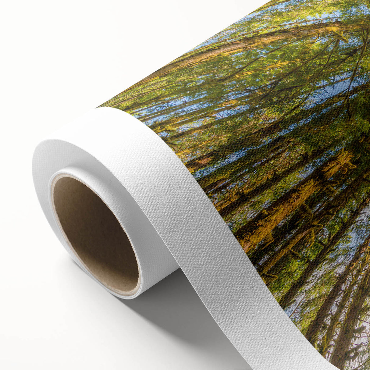 Art deco poster of Olympic National Park with muted earth tones on rolled canvas, ideal for nursery wall art.