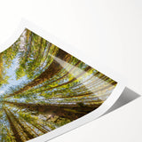 Extra large rolled print featuring line art flowers in soft pastel shades, ideal for large living room wall art.