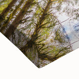 Black and white landscape art painting of Olympic National Park on stretched canvas, suitable for bedroom wall art.