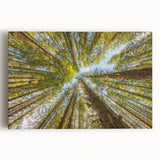 Black and white photograph of Olympic National Park on stretched canvas, suitable for kitchen wall art.