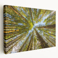 Olympic National Park landscape on stretched canvas, showcasing muted earth tones, ideal for kitchen wall art.