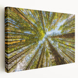 Olympic National Park landscape on stretched canvas, showcasing muted earth tones, ideal for kitchen wall art.