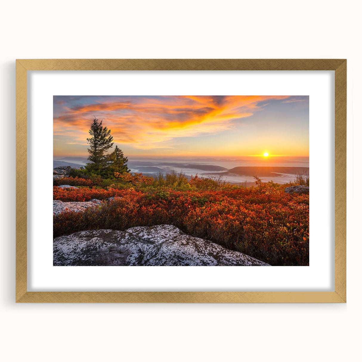 Extra large abstract art print of West Virginia scenery in gold frame, featuring textured layers in earthy tones.