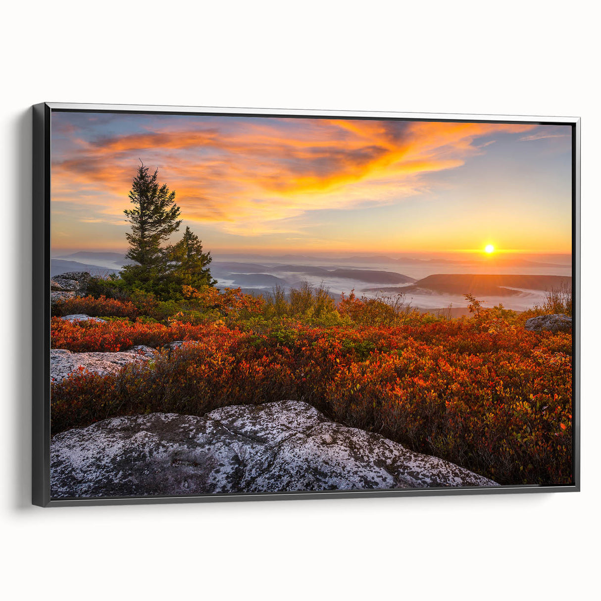 Black and white wall art featuring a vintage West Virginia landscape on a framed canvas, ideal for bedroom decor.