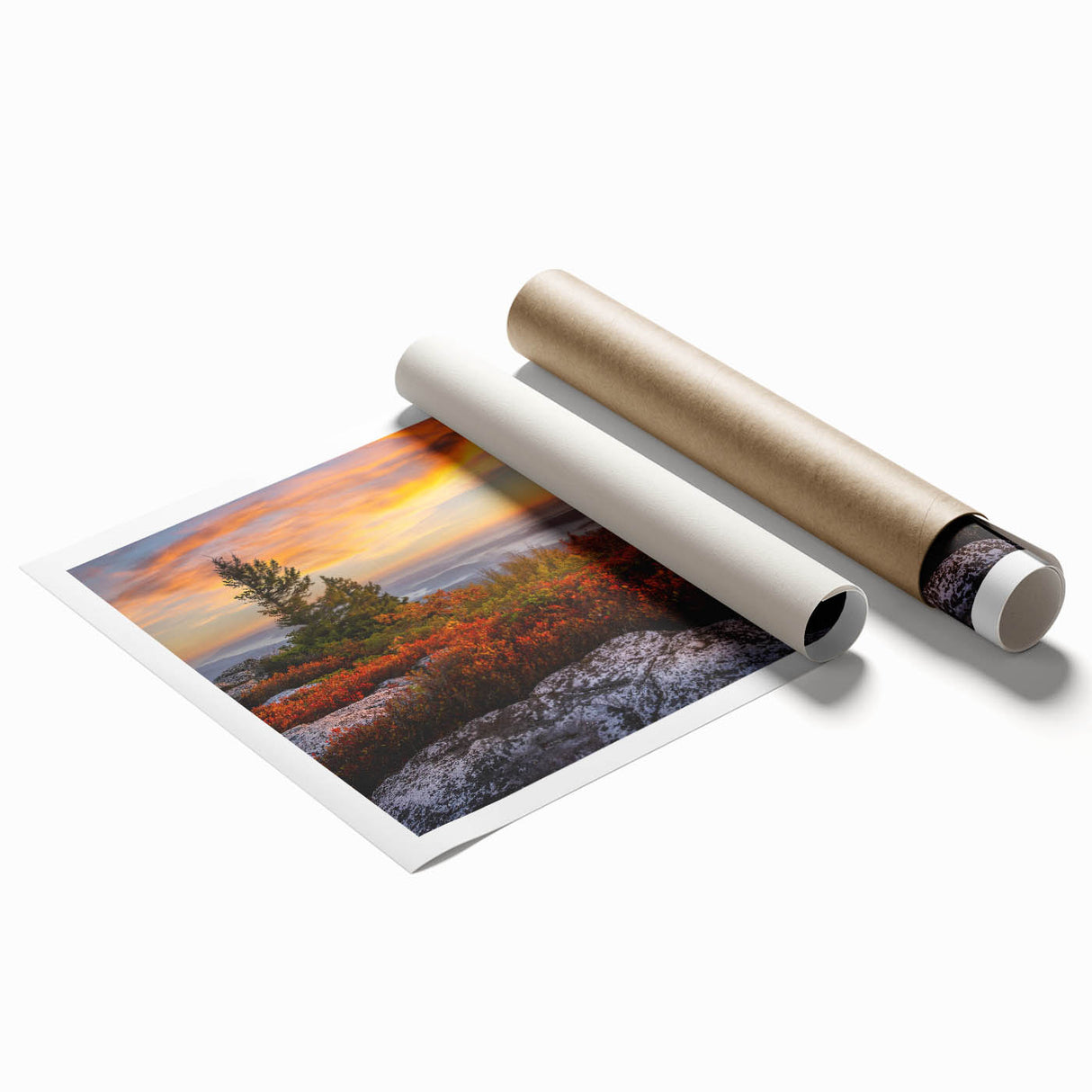 Extra large rolled print depicting West Virginia scenery with vibrant floral elements, ideal for classy bathroom wall art.