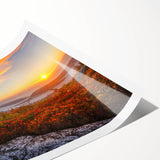 Extra large wall art featuring line art flowers in soft gray tones on a rolled canvas, suitable for large living room decor.