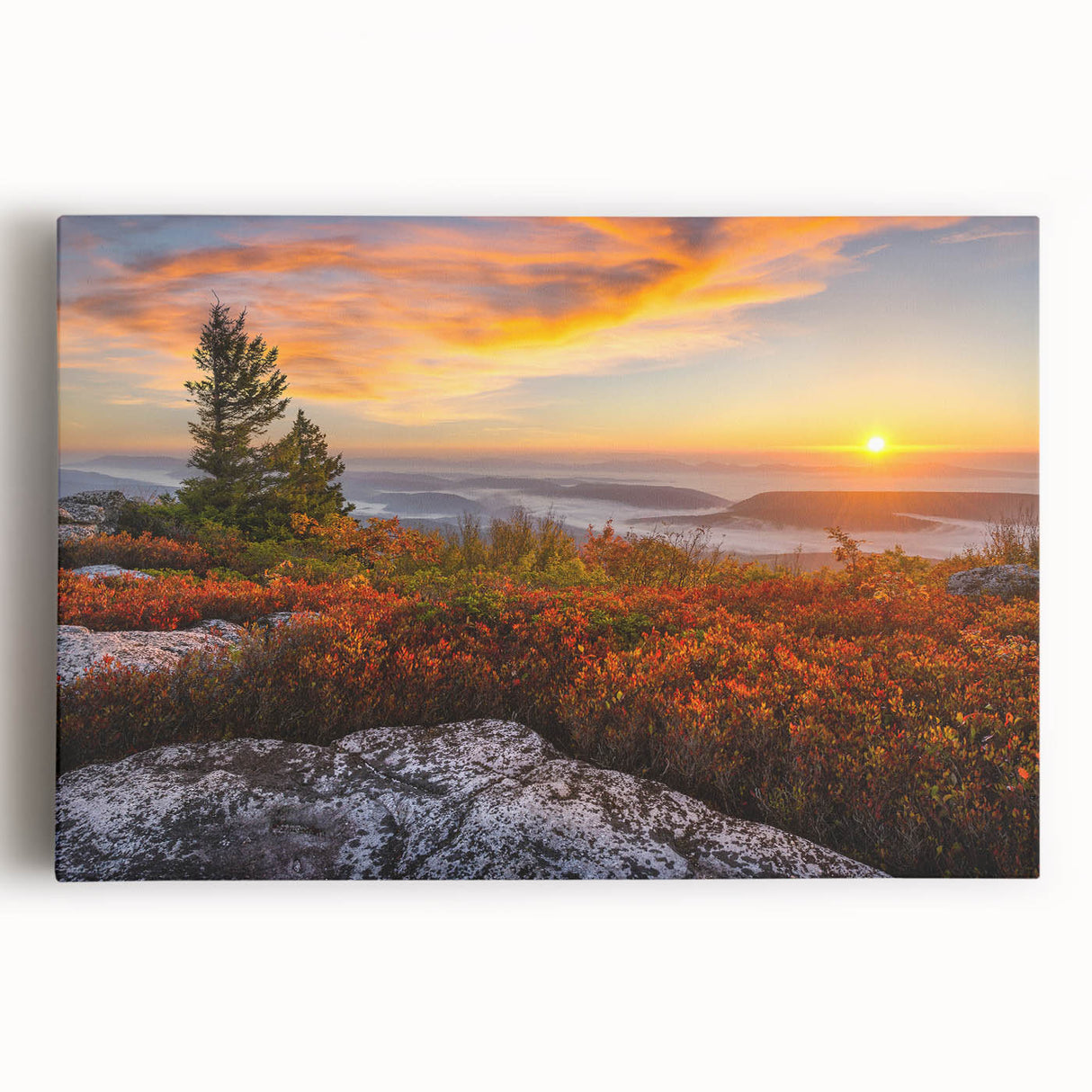 Black and white stretched canvas of West Virginia scenery, suitable as large kitchen art.