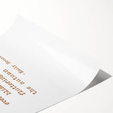 Extra large wall art featuring line art flowers in muted autumn tones on a rolled canvas.