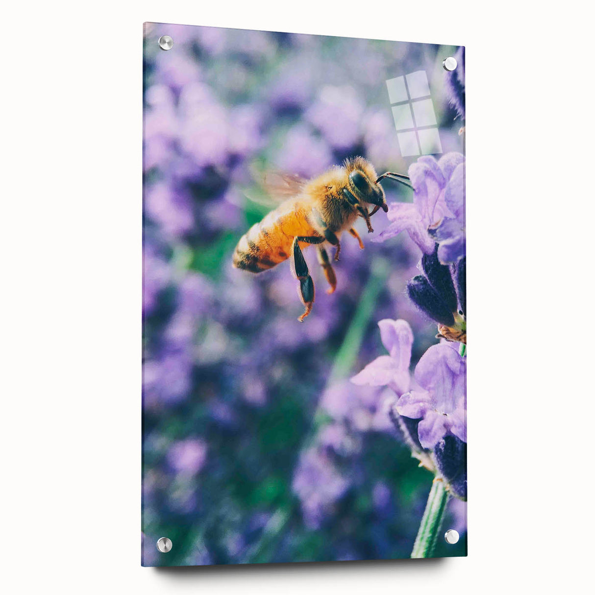 Large abstract wall art on acrylic glass depicting spring themes in bright green and yellow tones.