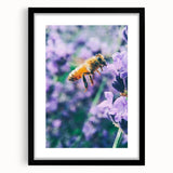 Extra large abstract art print featuring vibrant spring-themed colors on a textured canvas, framed in black.