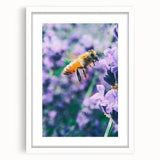 Abstract art print featuring soft pastel shades on a framed white canvas, suitable for dining room or bedroom decor.