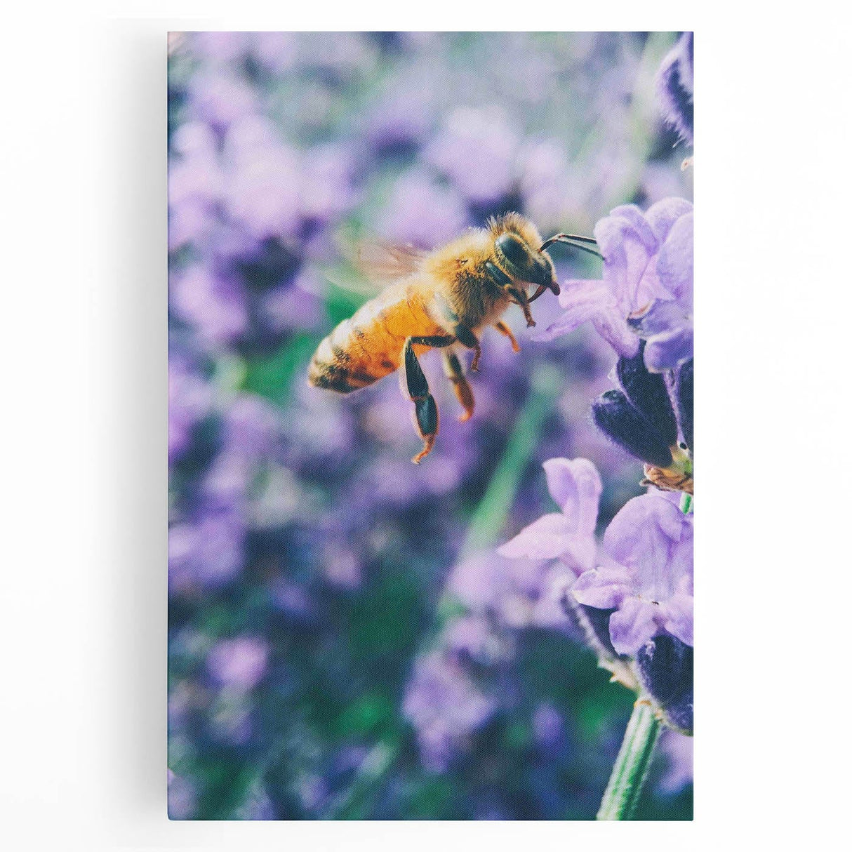 Black and white large art on stretched canvas featuring a minimalist spring scene, ideal for kitchen wall art.