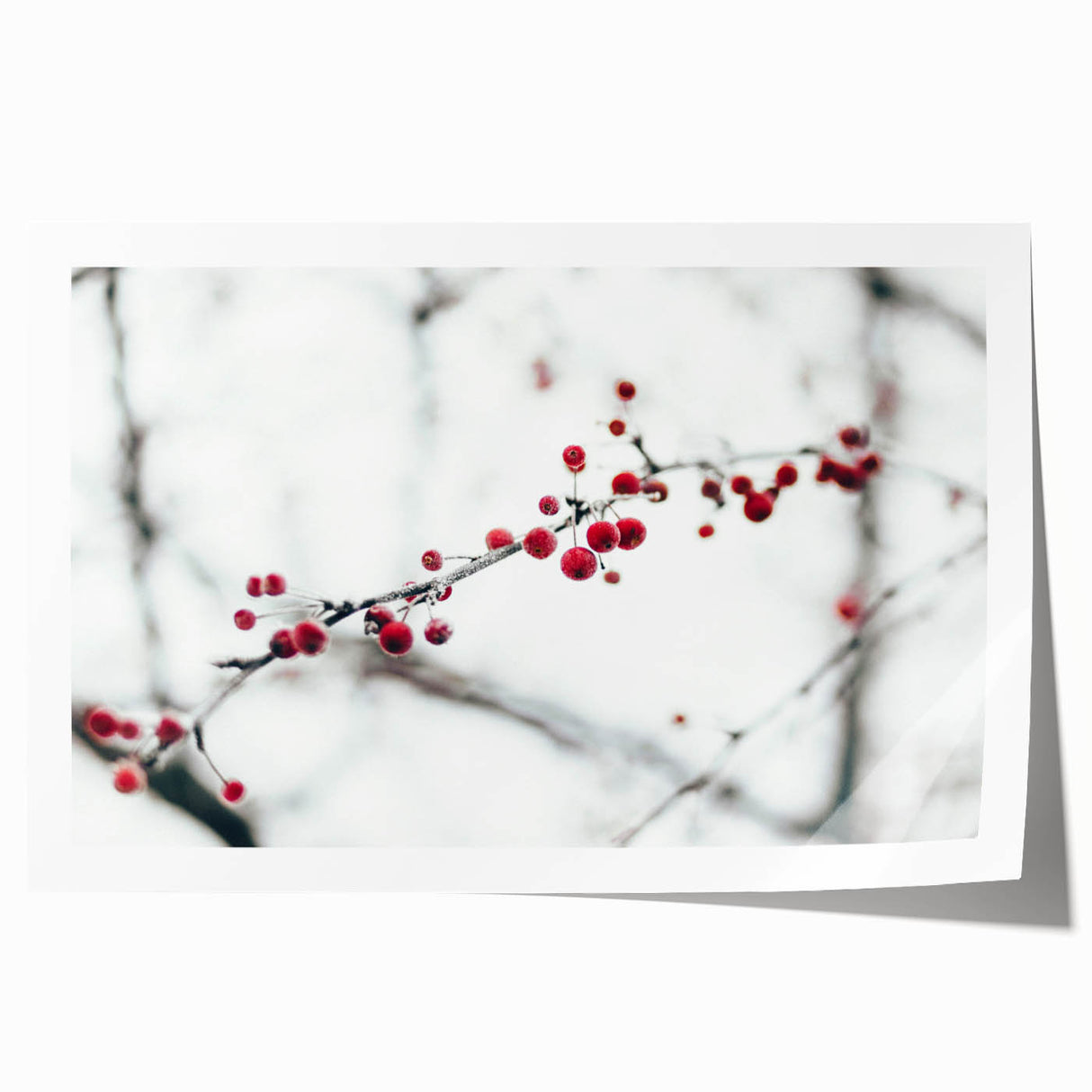 Rolled canvas print of a winter floral scene in muted blue and white tones, ideal for art wall dining room.