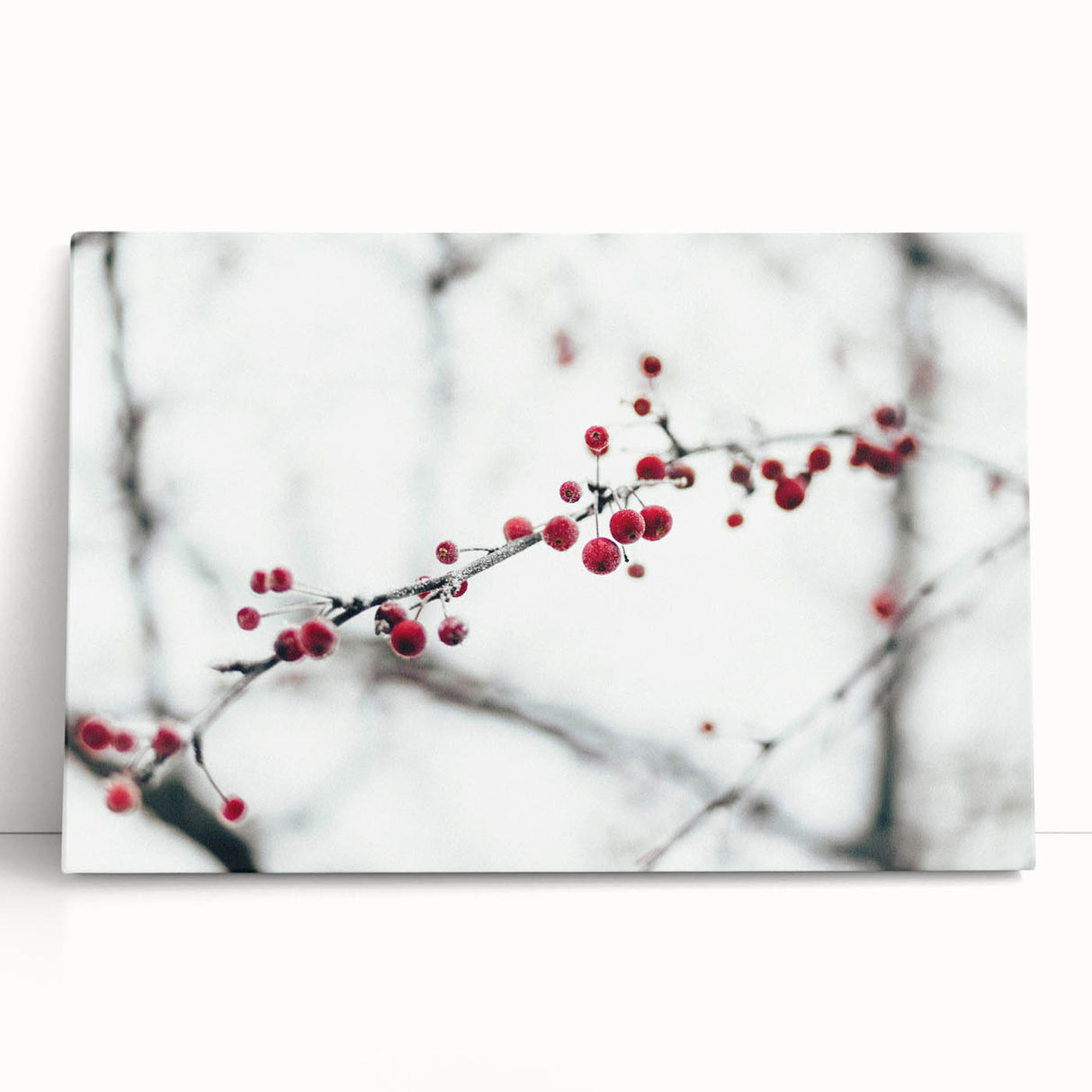 Winter scene in black and white on large stretched canvas, ideal for kitchen wall art or bedroom ambiance.
