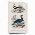 Historical Romanticism Canvas: Exotic Birds - Romantic Art Prints