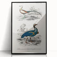 Historical Romanticism Canvas: Exotic Birds - Romantic Art Prints