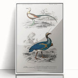 Historical Romanticism Canvas: Exotic Birds - Romantic Art Prints