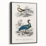 Historical Romanticism Canvas: Exotic Birds - Romantic Art Prints