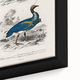 Historical Romanticism Canvas: Exotic Birds - Romantic Art Prints