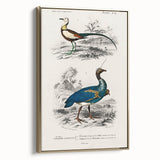 Historical Romanticism Canvas: Exotic Birds - Romantic Art Prints